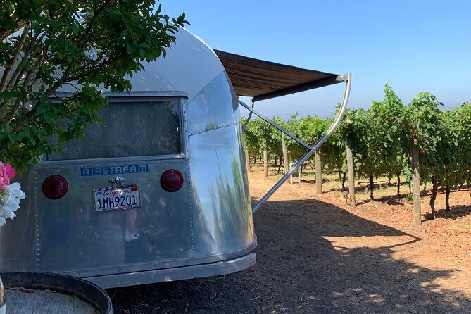 Wine Tour Pros - Wine Tour in Napa Valley: SUV For Up To 6 Guests - Who Should Consider This Tour?