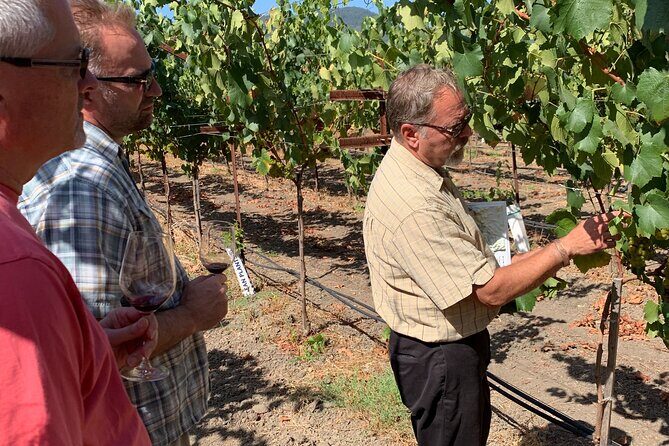 Wine Tour Pros - Wine Tour in Napa Valley: SUV For Up To 6 Guests - The Sum Up