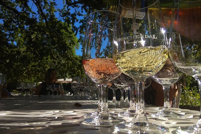 Wine Tour to Stellenbosch & Franschhoek with Tastings & Lunch - Exploring the Cape Winelands: A Review of the Stellenbosch & Franschhoek Wine Tour