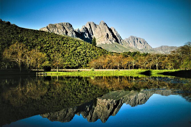 Wine Tour to Stellenbosch & Franschhoek with Tastings & Lunch - Who Will Appreciate This Tour?