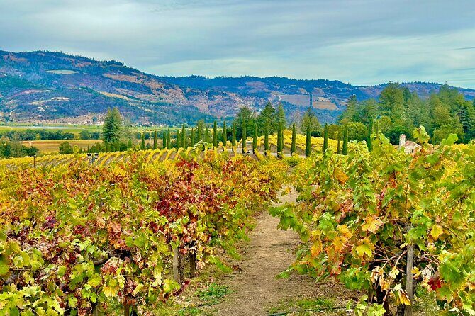 Wine Tour Transportation Services in Napa Valley - Who Would Benefit Most from This Tour?