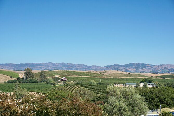 Wine Tour Transportation Services in Napa Valley - The Sum Up