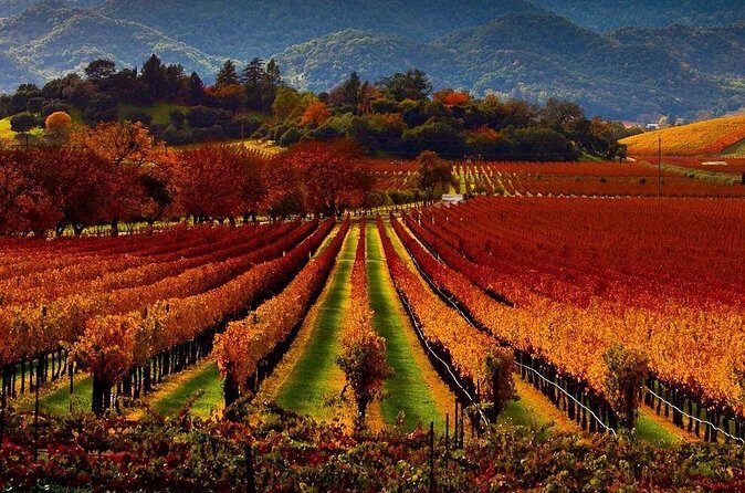 Wine tour up to 6 passengers - FAQ