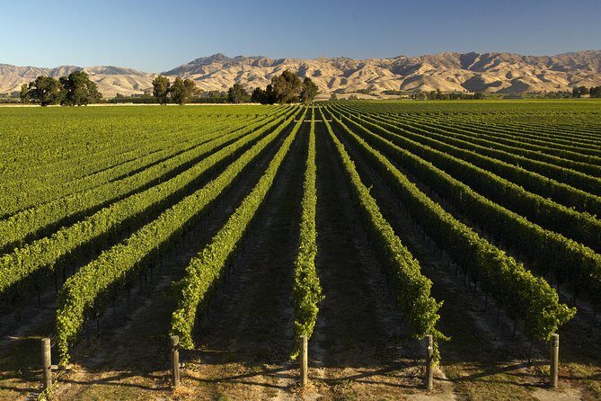 Wine trail and Christchurch City - Luxury, Small Group Tour - Final Thoughts
