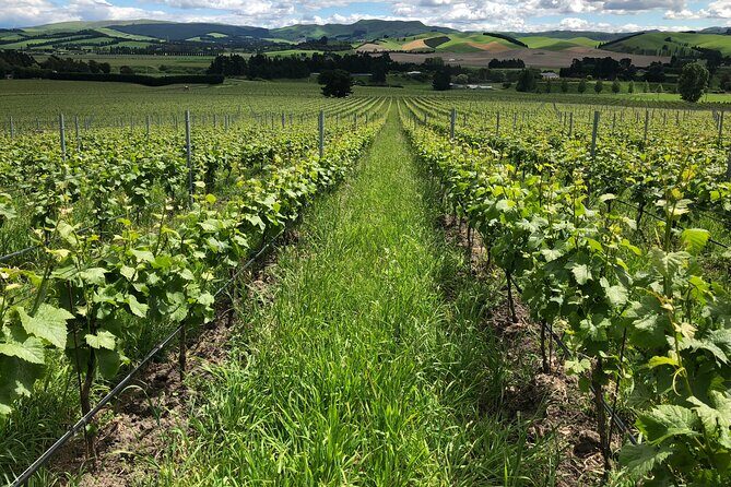 Wine trail and Christchurch City - Luxury, Small Group Tour - FAQ