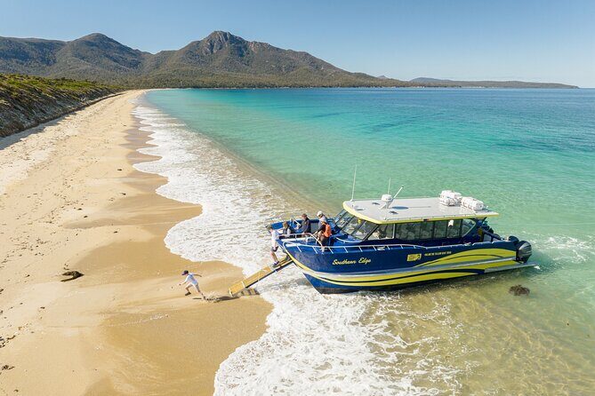 Wineglass Bay Shared Cruise and Walking Tour - What to Expect from the Itinerary