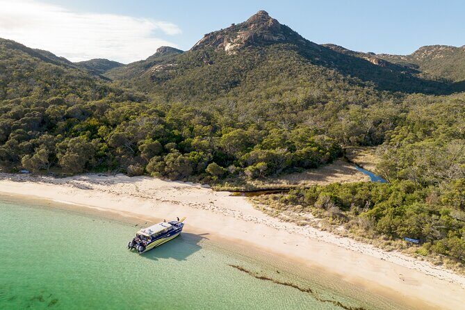 Wineglass Bay Shared Cruise and Walking Tour - Price and Value Analysis