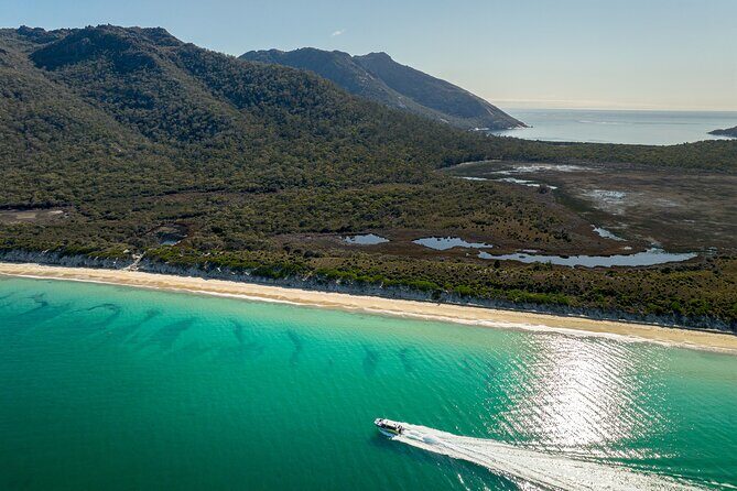 Wineglass Bay Shared Cruise and Walking Tour - Who Will Love This Tour?