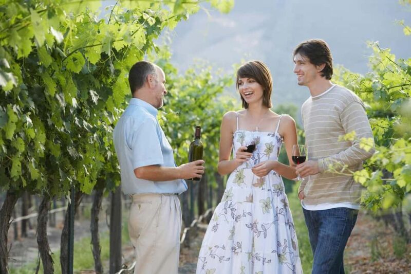 Wineland wonders: Cape Towns exquisite journey - A Deep Dive into the Cape Winelands Experience