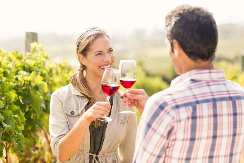 Wineland wonders: Cape Towns exquisite journey - Who Would Enjoy This Tour?
