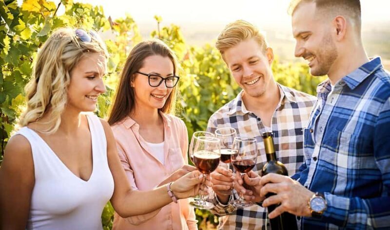Wines and Whispers: A Barossa Valley Wine Tour from Adelaide - Who Should Consider This Tour?