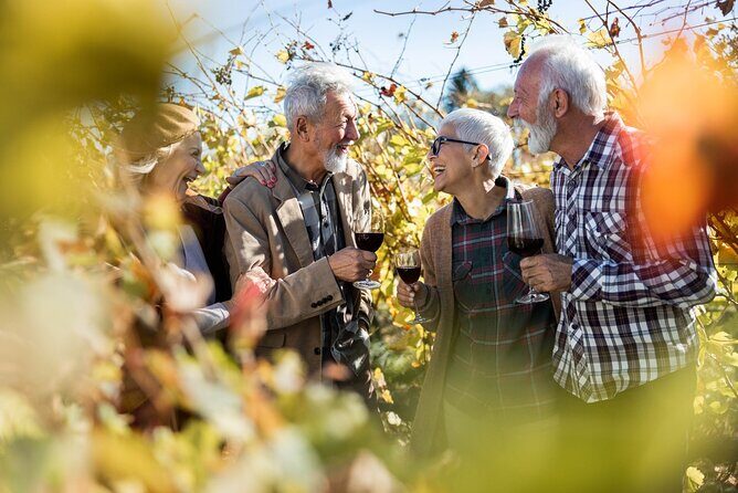 Wines and Whispers:Barossa Valley Private Wine Tour from Adelaide - Gourmet Experience at Salter’s Kitchen