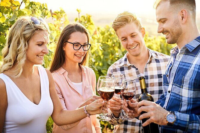 Wines and Whispers:Barossa Valley Private Wine Tour from Adelaide - Scenic View: Mengler’s Hill Lookout