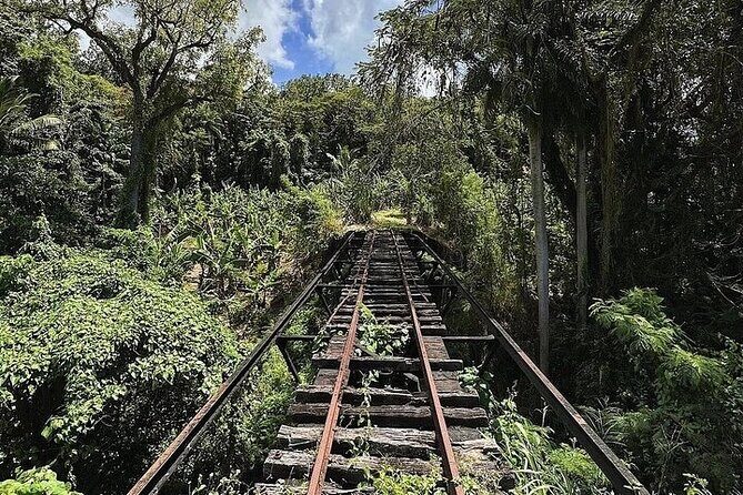 Wingfield Rainforest Adventure Hike and Caribelle Batik stop - Analyzing the Value