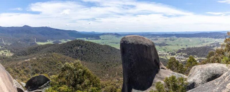 Wings & Wilds of Canberra Tidbinbilla Half-Day Private Tour - The Itinerary in Detail