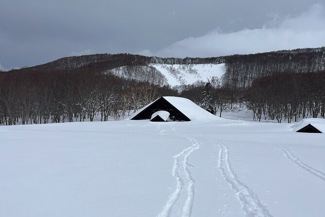 Winter Bites : Taste a Local Flavor in Snow Trek - The Sum Up