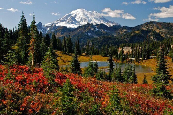Winter Day Tour to Longmire on Mount Rainier from Seattle - Key Points
