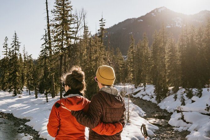 Winter Day Tour to Longmire on Mount Rainier from Seattle - An In-Depth Look at the Itinerary