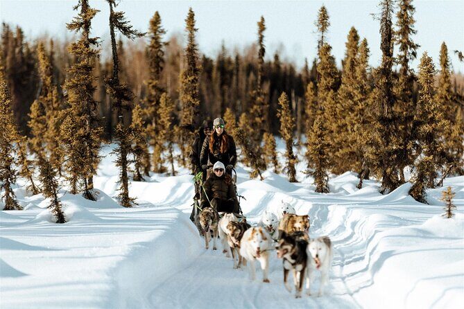 Winter Dog Sled Tour: Day or Night. - The Value for Money