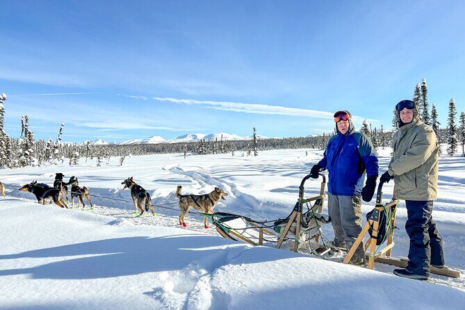 Winter Dog Sled Tour: Day or Night. - FAQs