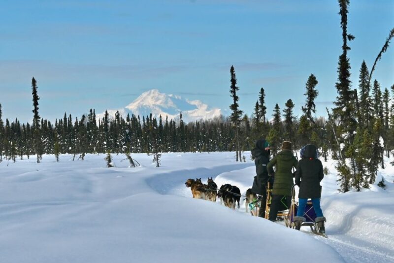 Winter Dog Sled Tour Day or Night Mush! - Who Would Appreciate This Tour?