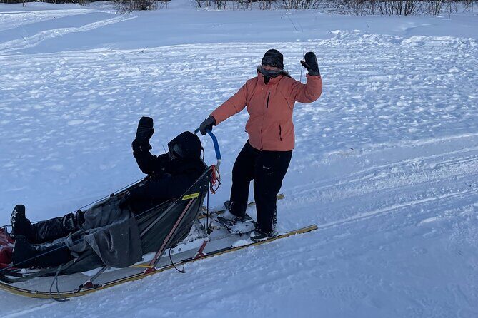 Winter Dog Sledding in Fairbanks - Final Thoughts
