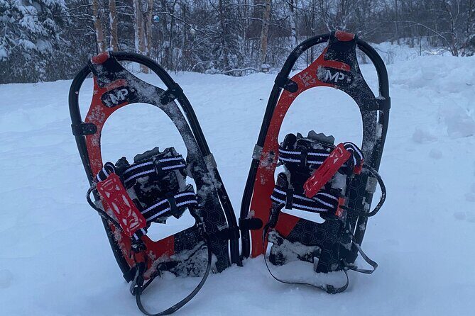 Winter Family Fun Day in Palmer Alaska - Key Points
