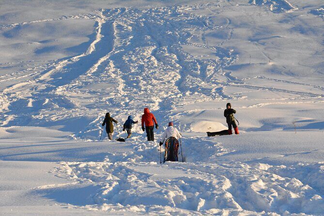 Winter Family Fun Day in Palmer Alaska - FAQ