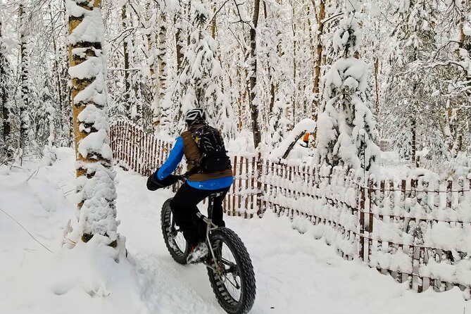 Winter Fat Biking Anchorage Tour - The Experience: What Makes It Special