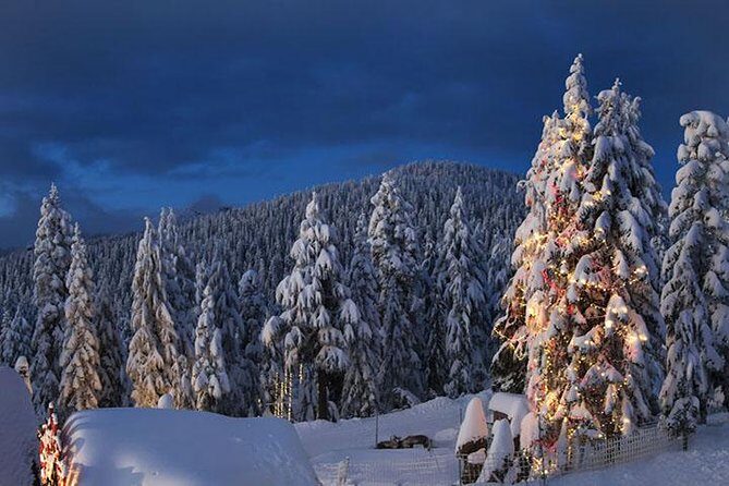 Winter Fun at North Shore Mountains- Grouse, Seymour & Cypress - What Travelers Can Expect: From Scenic Vistas to Action