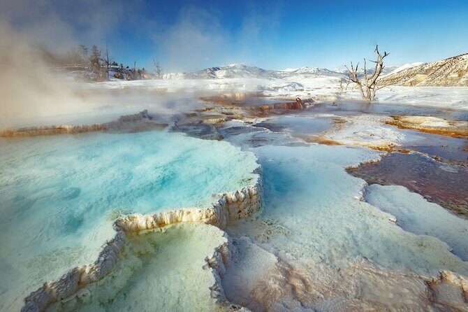 Winter Wildlife Safari in Yellowstone National Park - The Sum Up