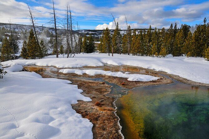 Winter Wildlife Safari in Yellowstone National Park - FAQ