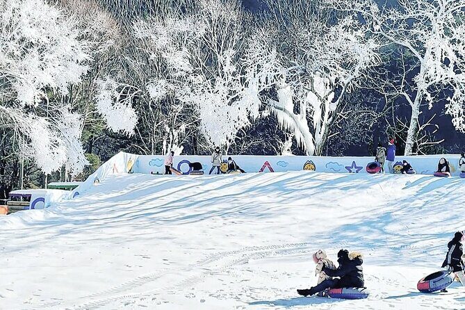 Winter Wonderland Healing Park and Gyeongju/Daegu Tour from Busan - The Snowy Marvel of Healing Park
