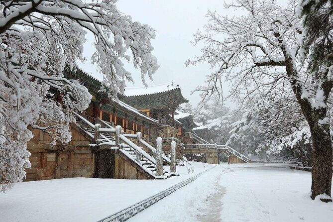 Winter Wonderland Healing Park and Gyeongju/Daegu Tour from Busan - Practical Details and Value