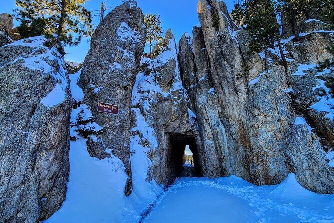 Winter Yellowstone, Grand Teton, and Mount Rushmore 7-day Tour - A Deep Dive into the 7-Day Adventure