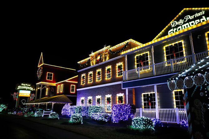 Winterfest Scenic Evening Tour - Who Should Consider This Tour?
