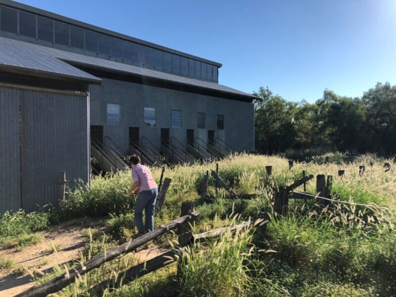 Winton: Bladensburg National Park Half Day Tour - Final Thoughts: Why Choose This Tour?