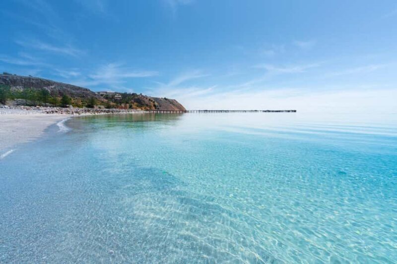 Wirrina Cove: Coastal Sightseeing Boat Tour with Seal Colony - Key Points