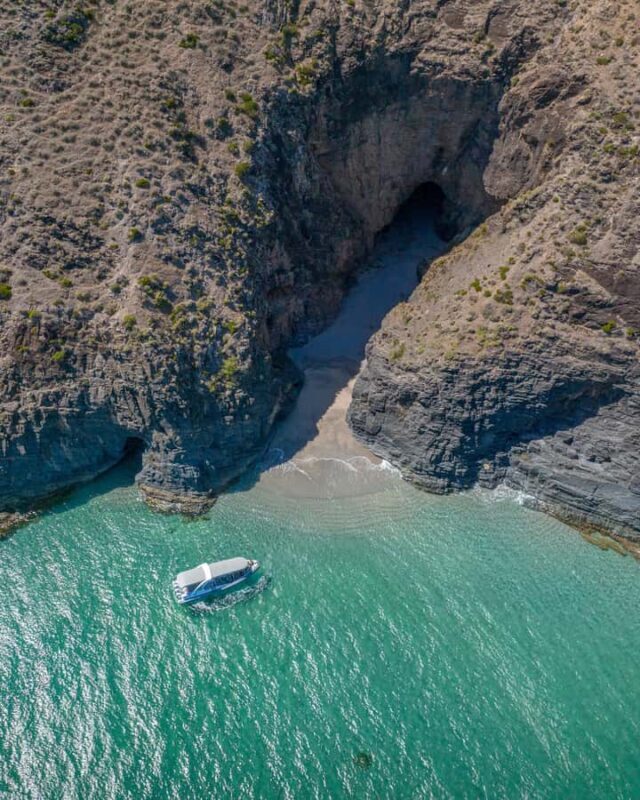 Wirrina Cove: Coastal Sightseeing Boat Tour with Seal Colony - Overview: What You’ll Experience