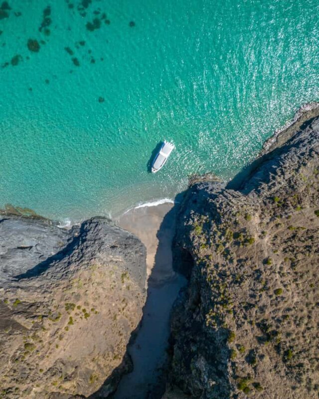 Wirrina Cove: Coastal Sightseeing Boat Tour with Seal Colony - What to Expect During the Tour
