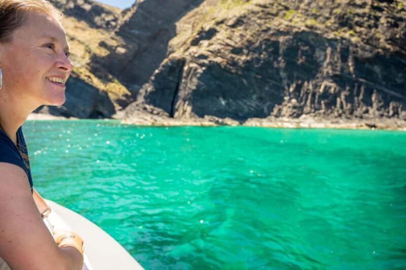 Wirrina Cove: Coastal Sightseeing Boat Tour with Seal Colony - The Wildlife & Scenic Highlights