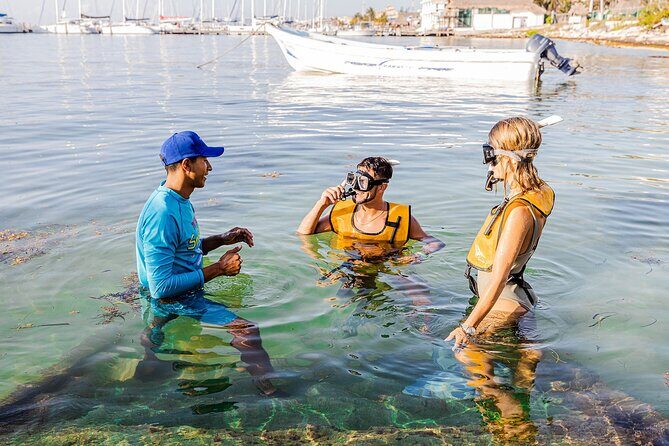 With Turtles, Shipwreck, Cenote, and Reef and Transport Included - What to Expect from the Tour
