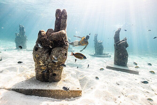 With Turtles, Shipwreck, Cenote, and Reef and Transport Included - FAQs
