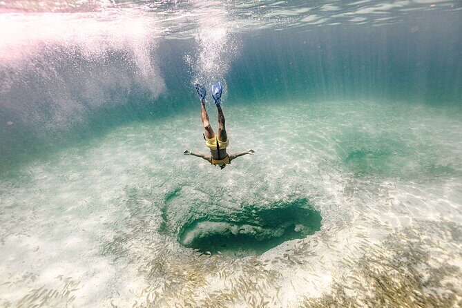 With Turtles, Shipwreck, Cenote, and Reef and Transport Included - Final Thoughts