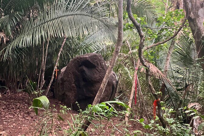 Wixárika Sacred Ritual: Purify your spirit in nature - Who Will Love This Tour?