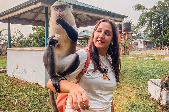 Wli Waterfall and Tafi Atome Monkey Sanctuary (Day Visit) - FAQ