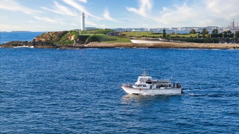 Wollongong Deep Sea Fishing Charter with Breakfast - Weekday - An Authentic Deep-Sea Fishing Experience with Practical Comforts