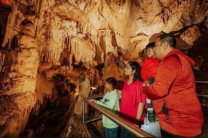 Wombeyan Caves: Fig Tree Cave Tour - Exploring Wombeyan Caves: The Fig Tree Cave Tour