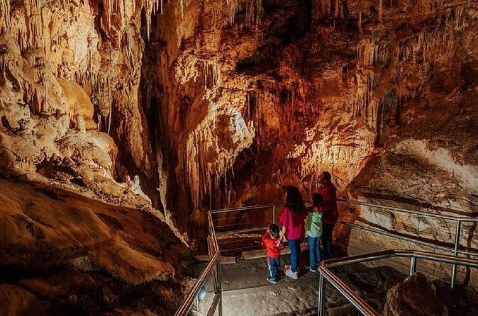 Wombeyan Caves: Fig Tree Cave Tour - Why This Tour Offers Value