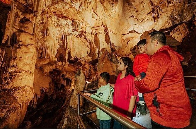 Wombeyan Caves: Fig Tree Cave Tour - Final Thoughts: Is the Fig Tree Cave Tour Worth It?
